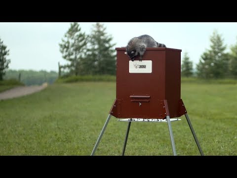 Judge Feeders Commercial